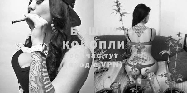 прущие крисы Армянск