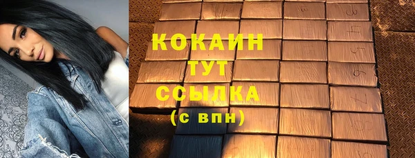 мет Инсар